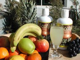 aloevera1 Het sap van de aloe vera plant past in ieder gezond dieet en heeft bovendien heel wat genezende eigenschappen