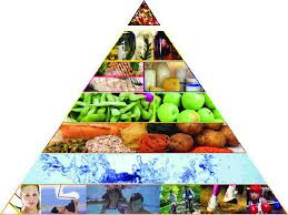 De juiste vitaminen en mineralen