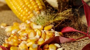 Beste manieren om te vermageren