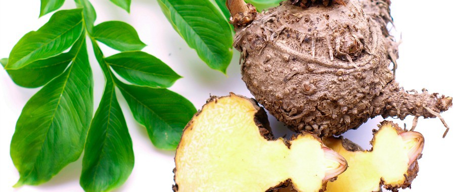 Glucomannan