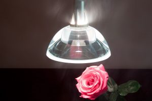 De juiste verlichting