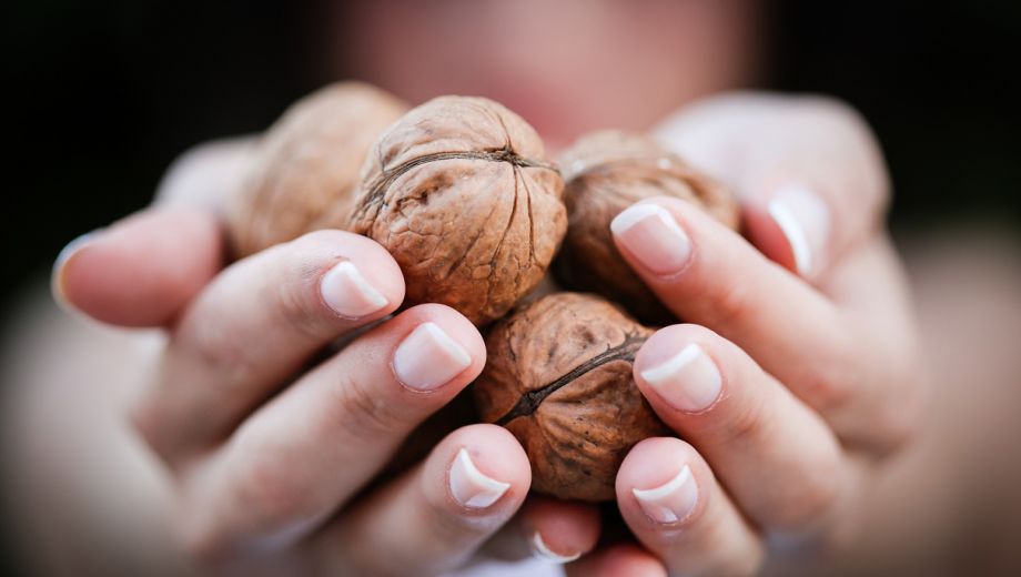 De meest gezonde noten die passen in een gezond koolhydraatarm dieet
