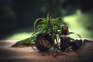 cbd olie