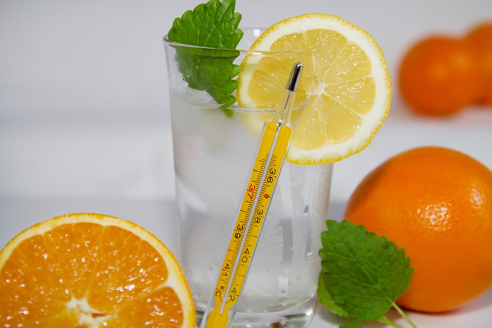 Voeding met meeste vitamine C