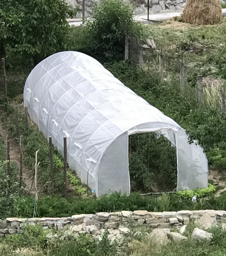Tuin tunnel van witte folie met afmetingen 3x10m van  Gardenway.nl