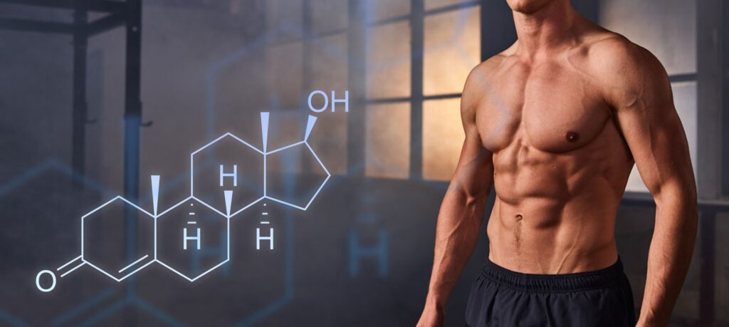 Testosteron en oestrogeen