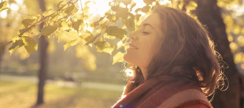 Vitamine D Hormoon: De verborgen factor bij afvallen, stemming en anti-Aging. (2025 Wetenschap)