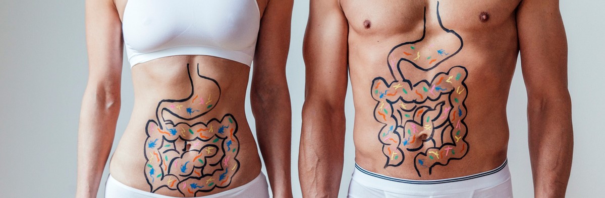 Darmflora herstellen