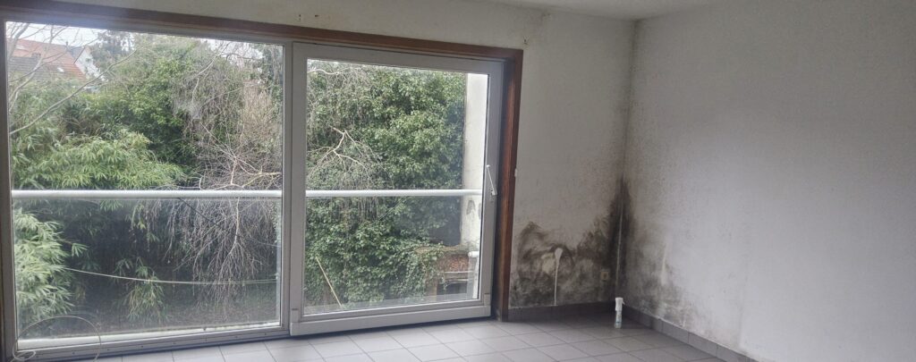 Vocht in Huis Bestrijden