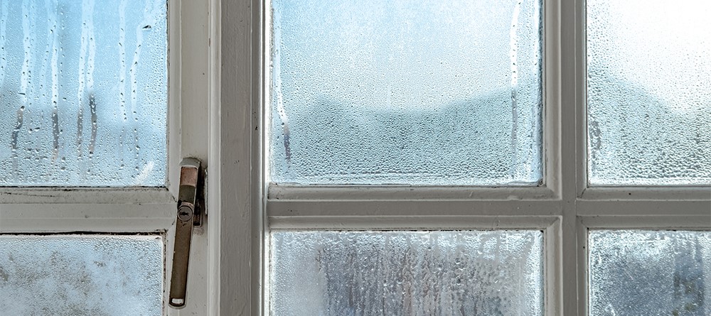 Schimmelgevaar in Huis: Hoe Mycotoxinen je Immuunsysteem verstoren en je chronisch ziek maken