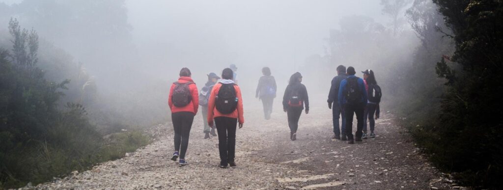 Gezond afvallen met hardlopen