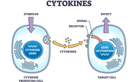 Laaggradige ontstekingen