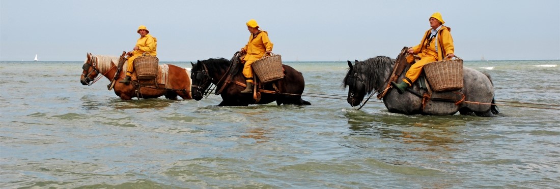 Koksijde-Oostduinkerke: Lente, zee en avontuur voor een boeiende Paasvakantie