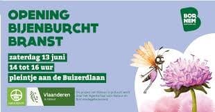 Plan Knautiebij Bornem viert mijlpaal met feestelijke opening nieuwe bijenburcht in Branst